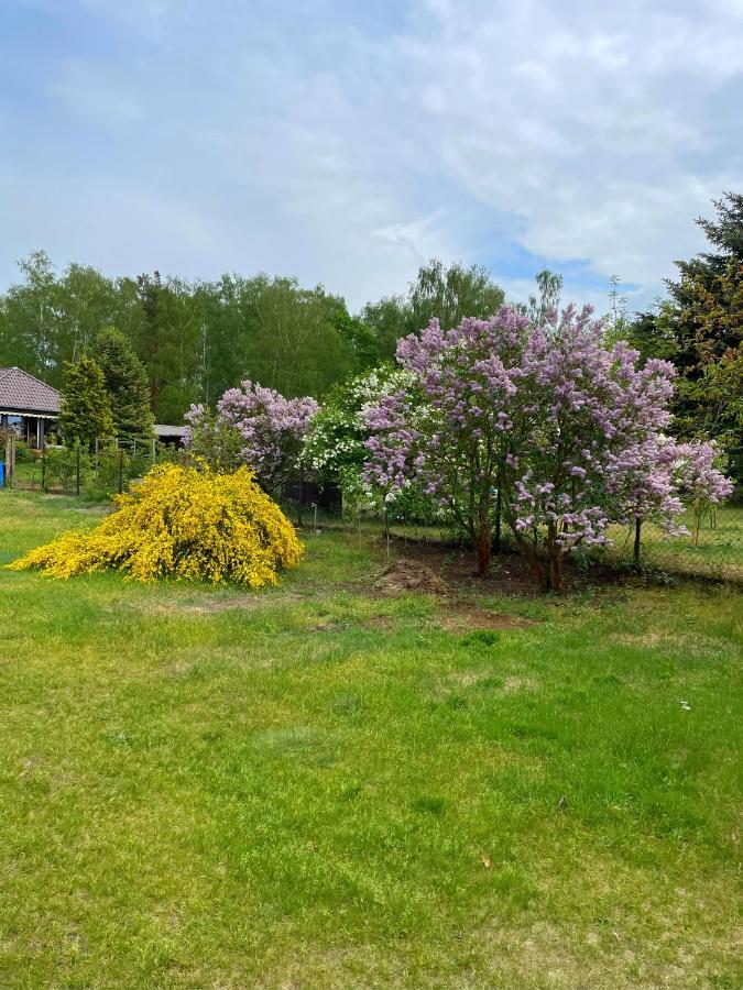 Apartment Am Birkenwaeldchen - Motzener 150m *